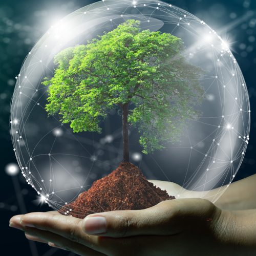 Plan de transformation_Booster développement
